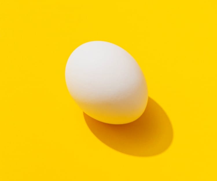 This is an image of an egg in-front of a yellow background